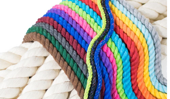 Elastic Belt